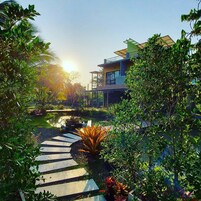 Uma casa moderna com piscina, rodeada por vegetação exuberante e um caminho de madeira.