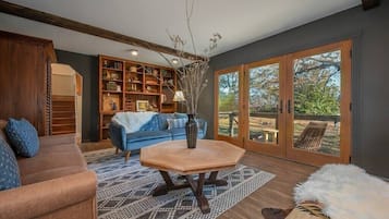 Televisión, chimenea, reproductor de DVD y libros