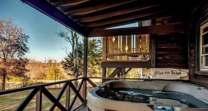 Swiss Chalet/Raving Reviews/26 acres/3 mi. to TIEC