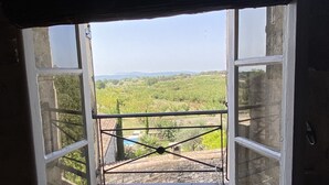 A view through a window with a metal railing, overlooking a green landscape with fields and distant hills.