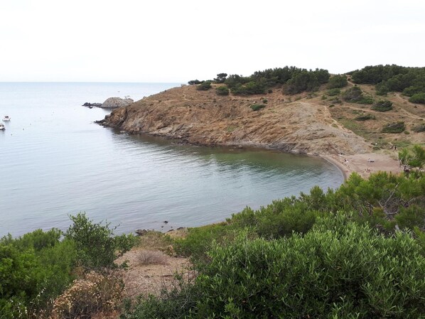 Ranta