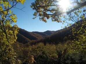 Miscellaneous - Small house surrounded by nature - lafossa.eu
Breakfast included (Vetto)
