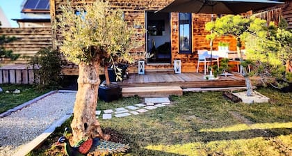 Neusiedlersee Tinyhouses/Glamping Dome with air conditioning and terrace