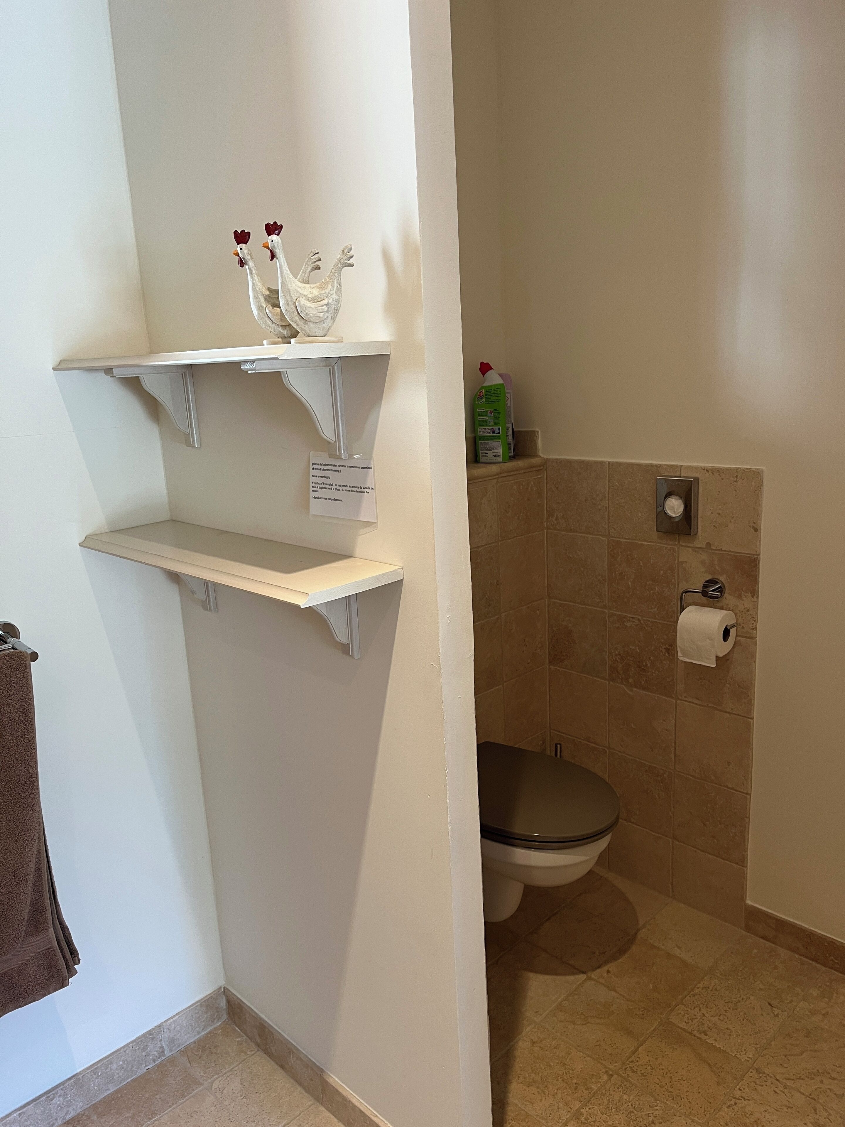 A bathroom with a toilet, a shelf with a decorative item, and a bottle of cleaning product.