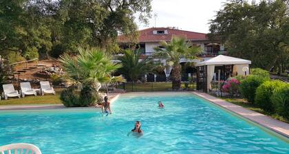 Studio in Residence near the sea in a beautiful park