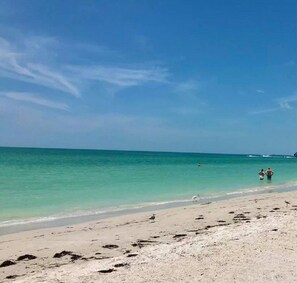 Beach - Stylish Retreat| Walk 2Dtwn+beach |Bikes+Patio (St Petersburg)