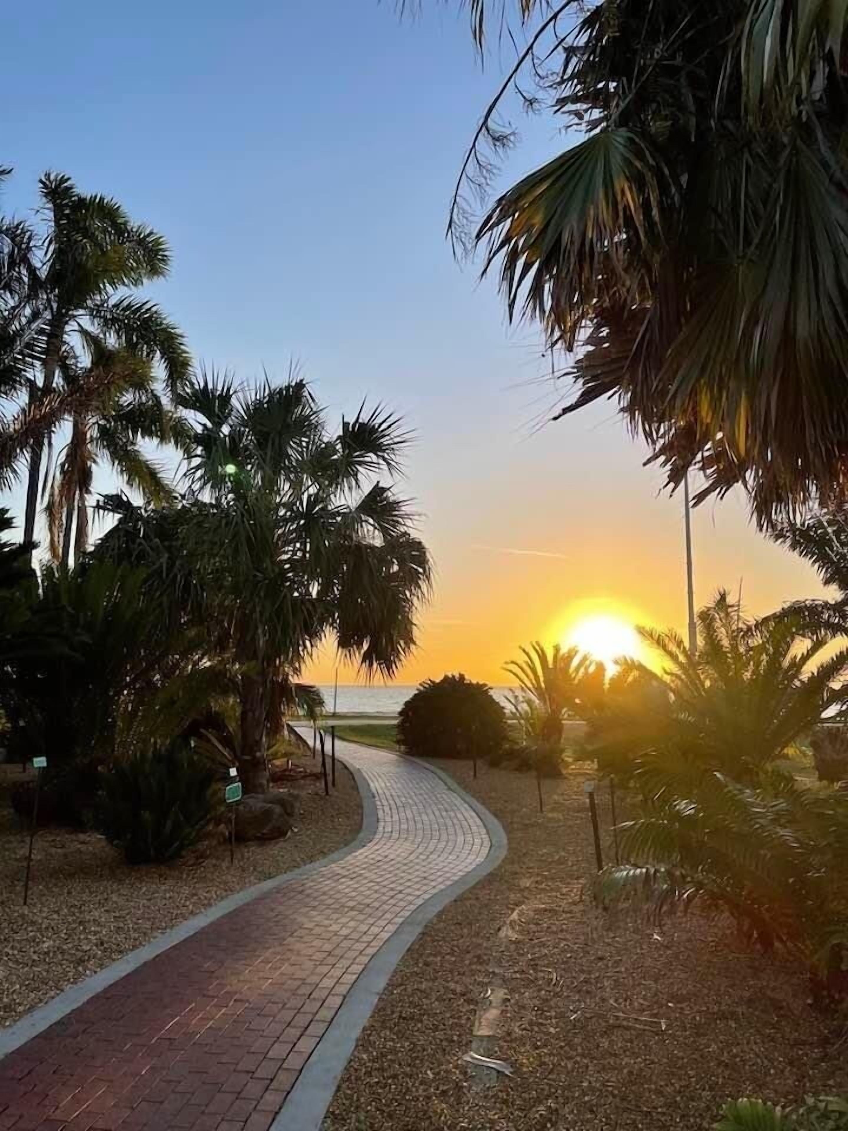 Uma trilha pavimentada serpenteia por uma área ajardinada, com palmeiras e o sol se pondo ao fundo.