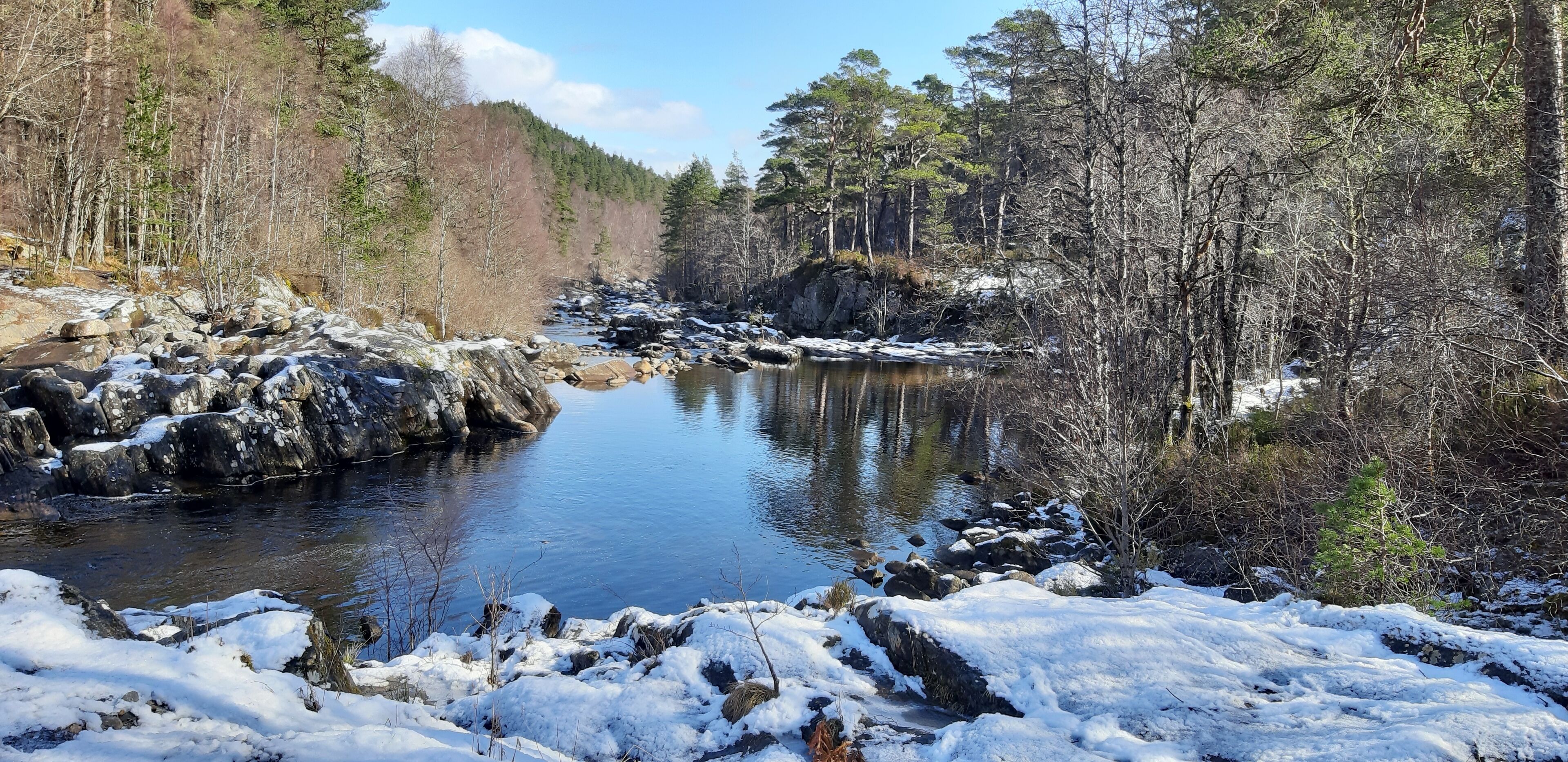 A river with snow-covered rocks and trees.