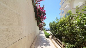 Un sendero pavimentado y estrecho bordeado por una pared blanca a un lado y una cerca de madera al otro, con abundante follaje verde y flores rosadas al fondo.
