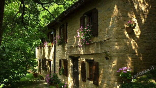 A stone building with multiple windows, some with shutters, surrounded by lush greenery and flowering plants. - Romantic house in the woods - lafossa.eu
Breakfast included (Vetto)