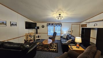 电视、壁炉、DVD 播放器