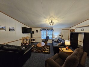 TV, fireplace, DVD player