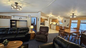 Télévision, cheminée, lecteur de DVD