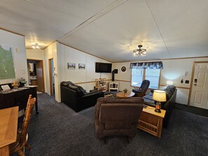 TV, fireplace, DVD player