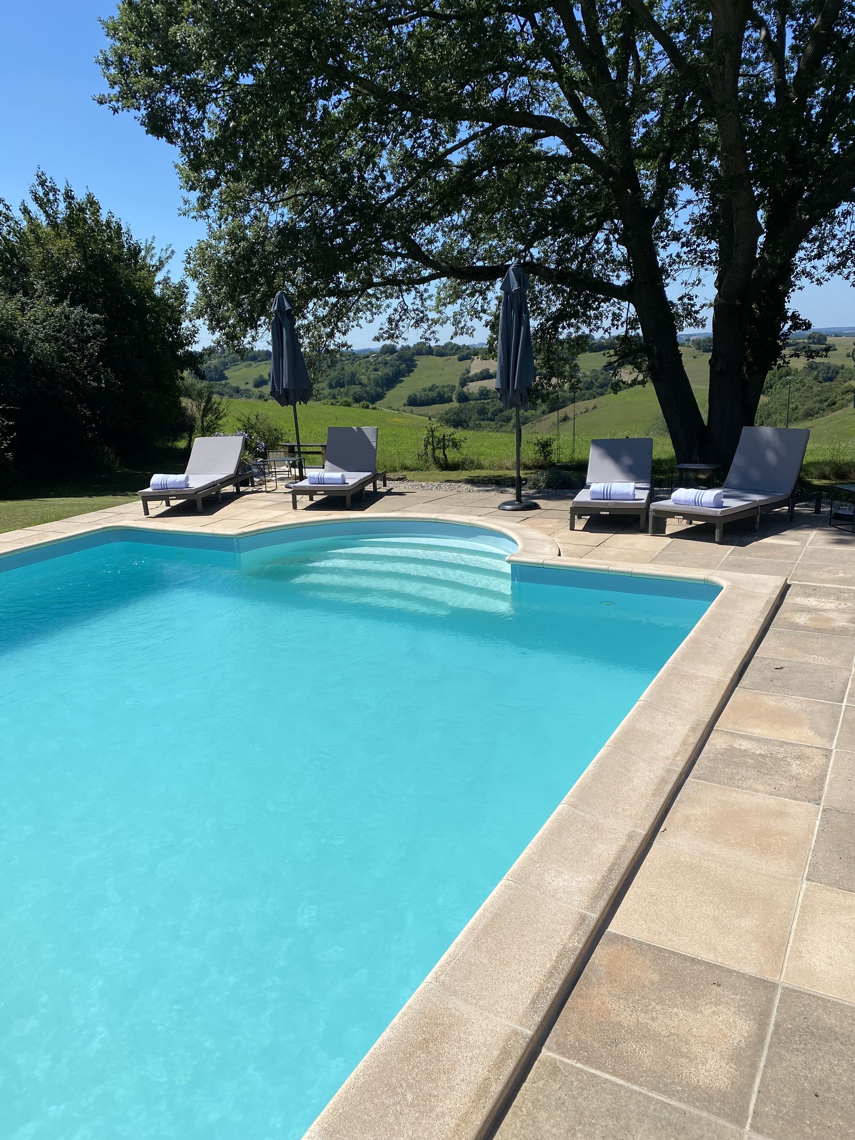 A swimming pool with lounge chairs and umbrellas, surrounded by trees and a view of green hills.