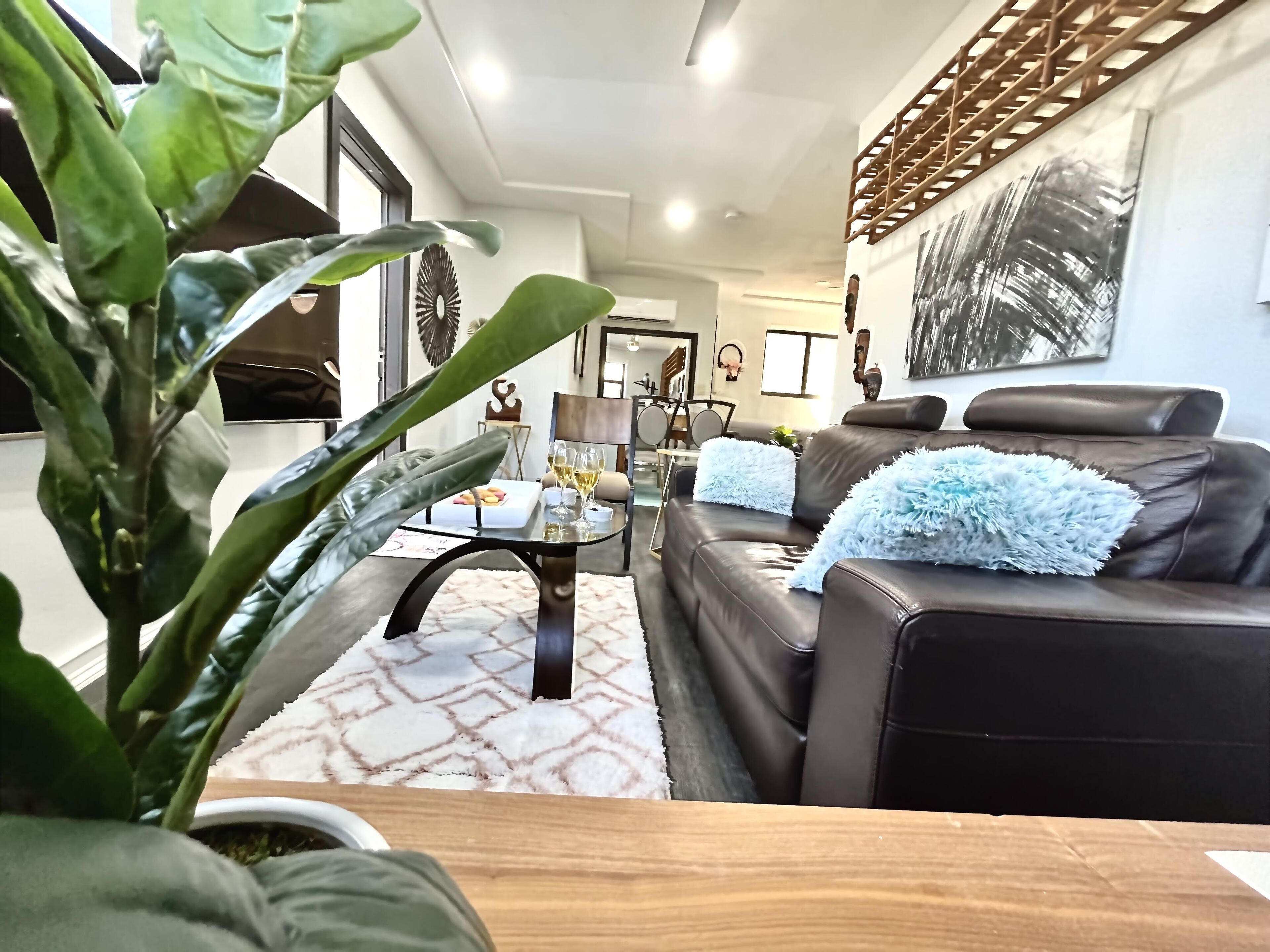 Canopy Shelter - Sweet Relaxing in Miami - Terrace and Outside Lounge