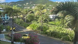 A view of a road with palm trees and a mountain in the background. - Seaside Blue <br>Hosted by Shilpi Singh (St Thomas)