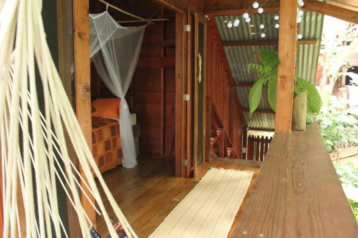 Imagen de perfil del propietario o de la propietaria