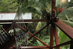 Property grounds - Jungle Queen - Orchidea BnB (Isla Bastimentos)