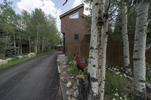 Property grounds - Gorgeous 3 Bed/3 Bath Frisco Home! (Arrowbear Lake)