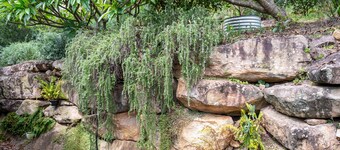 Uralla House - Urban Bush Retreat, centrally located with 2 Master Bedrooms