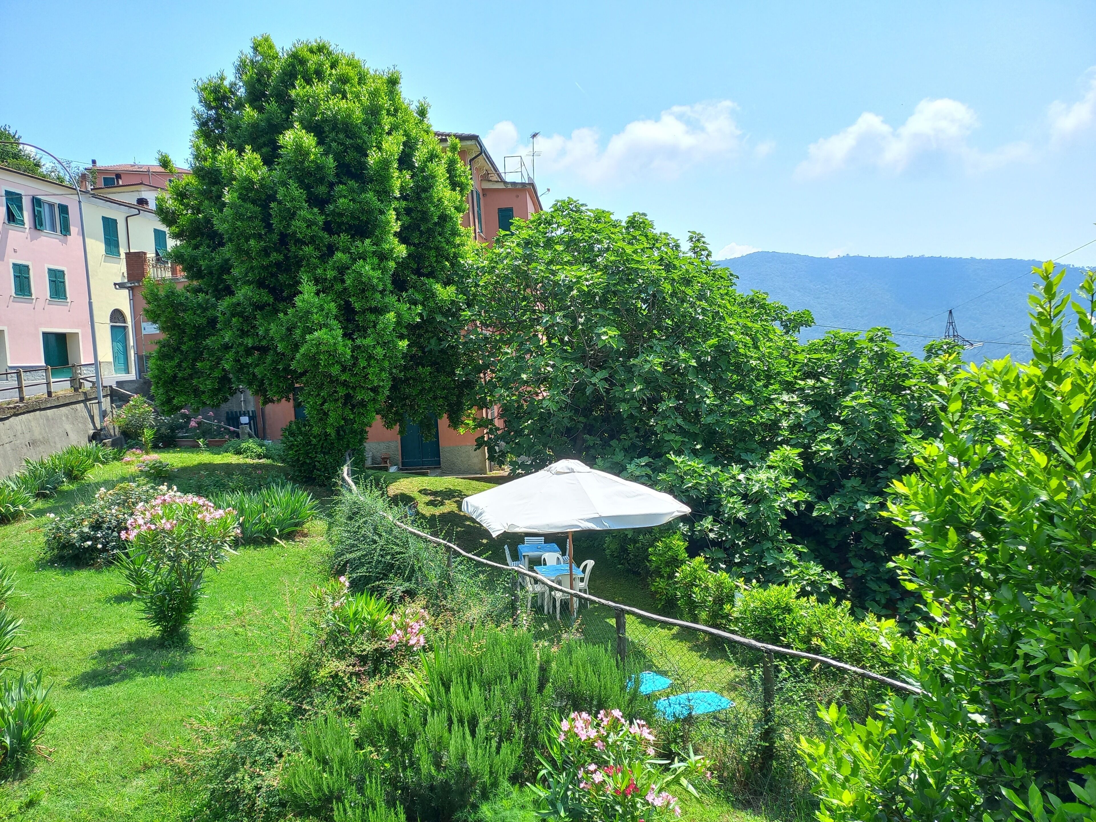 Un jardín exuberante con un comedor, un árbol grande y edificios coloridos al fondo.