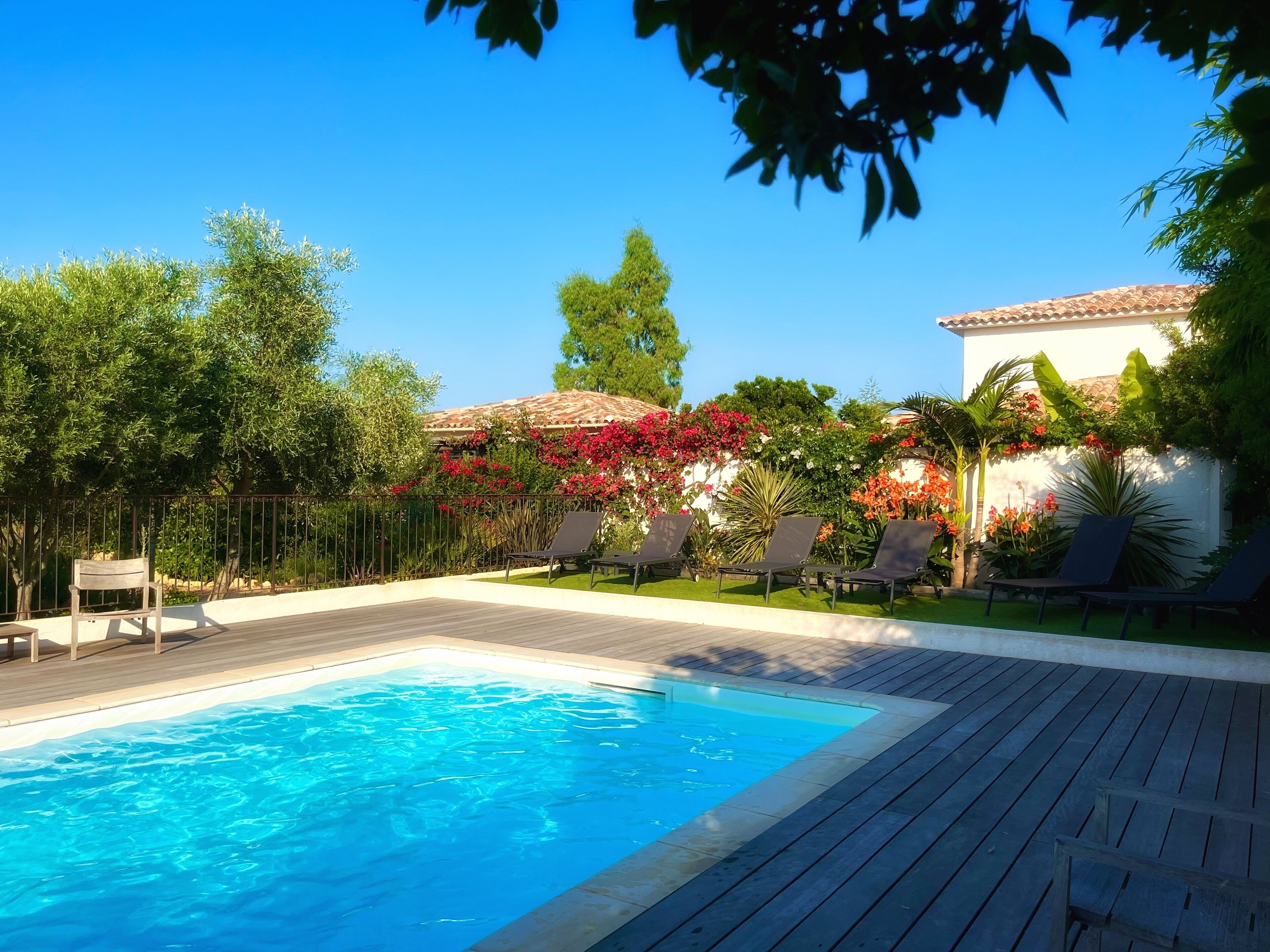 A swimming pool with a wooden deck, surrounded by lush greenery and a white building with a tiled roof.