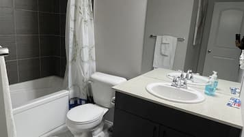 Ensemble douche/baignoire, sĂšche-cheveux, serviettes fournies, savon