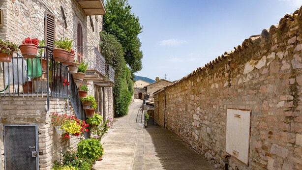 A narrow stone-paved alley with buildings on either side, featuring stone walls, metal railings, and potted plants.