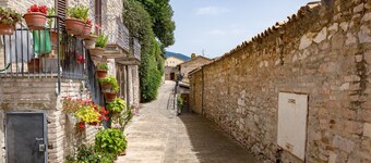 [Rustic House] with patio and garden Assisi center