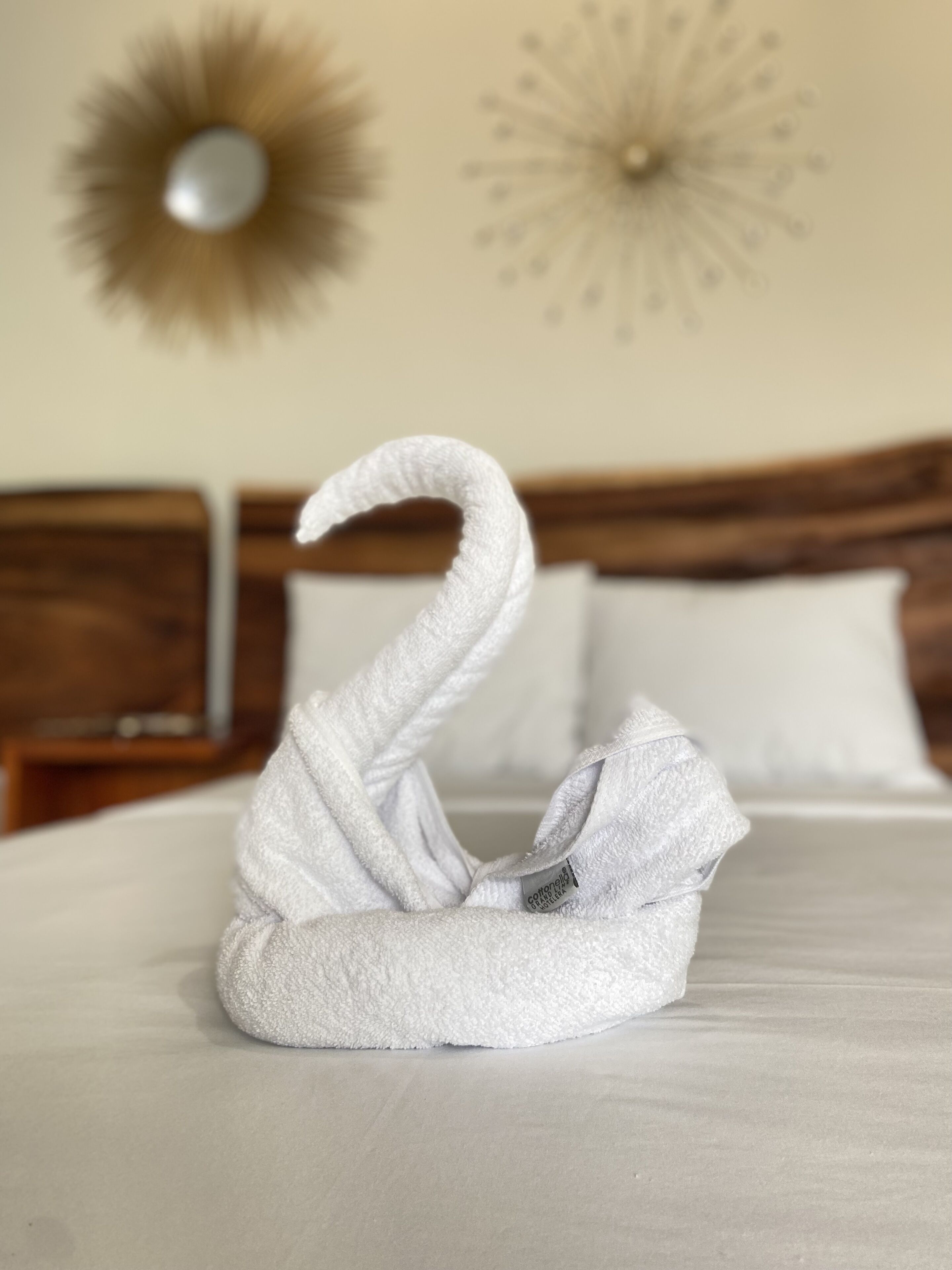 Photo - Hotel Naomi City center