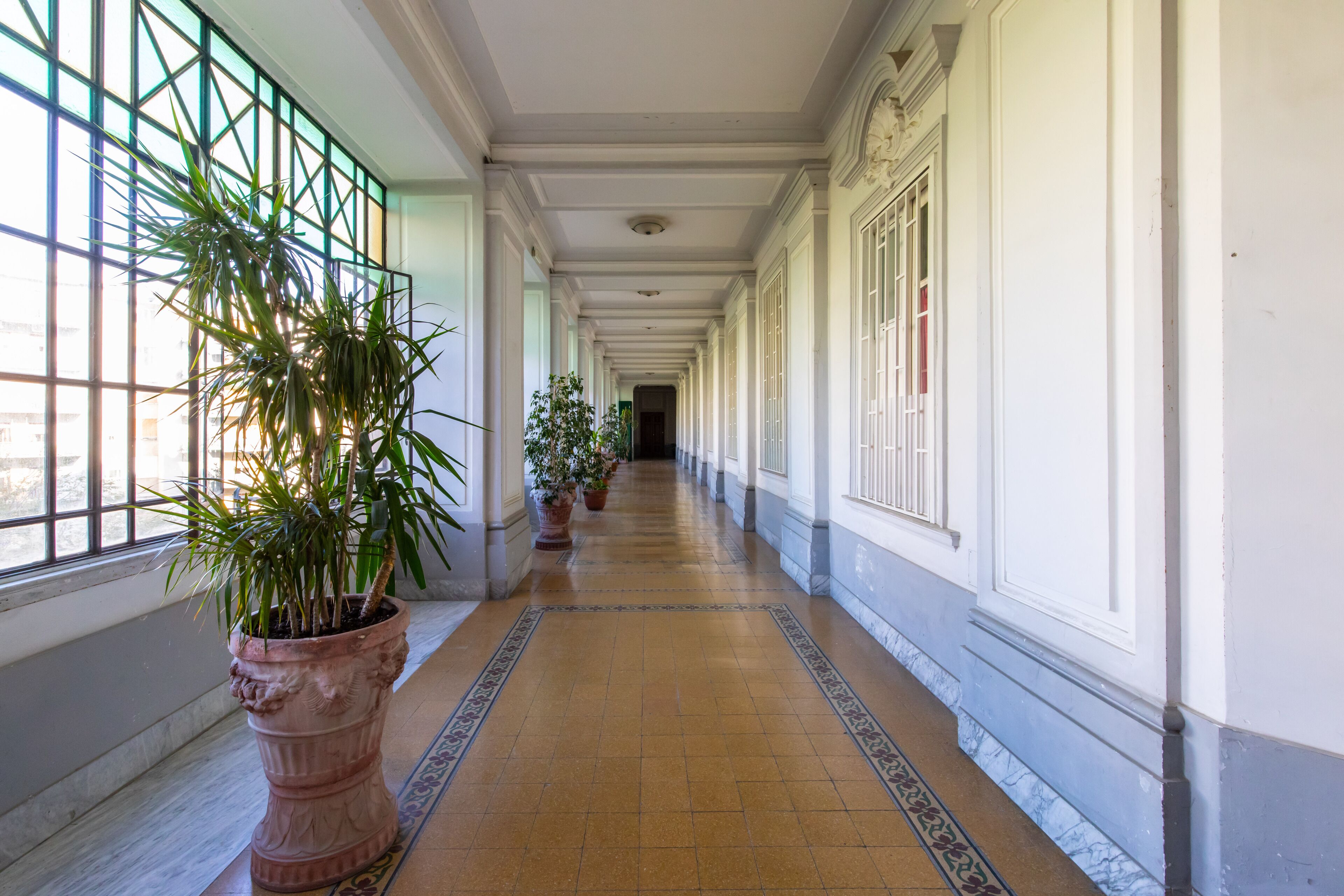 Photo - Belvedere Bonito