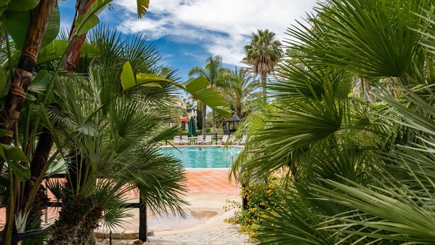 A pool area surrounded by lush greenery, including palm trees and banana plants. - Wide 3 bedrooms apartment wifi, air conditioning, garage (Alto do Semino, Quarteira)