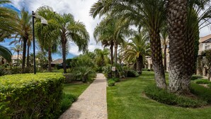 A paved pathway lined with palm trees and greenery, leading towards a building. - Wide 3 bedrooms apartment wifi, air conditioning, garage (Alto do Semino, Quarteira)