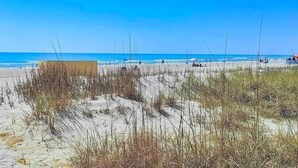 Une plage avec des dunes de sable et un ciel bleu dégagé.