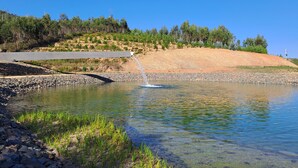 Un lago tranquilo con una estructura de hormigón a la izquierda, rodeado de una orilla rocosa y vegetación verde.