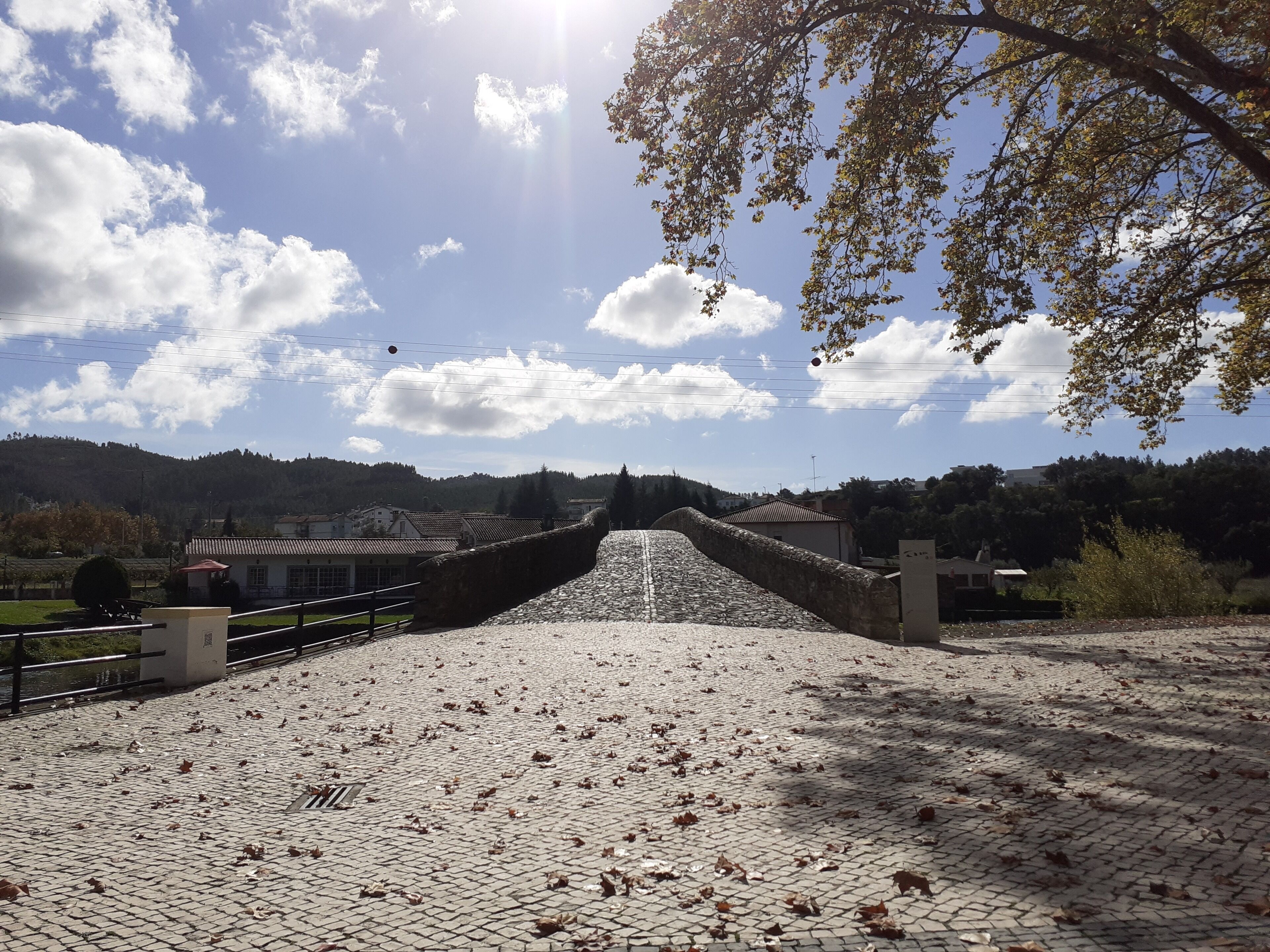 A cobblestone bridge leading to a village with houses and a hill in the background.