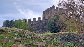 Muro de piedra histórico con vegetación, que conduce a un castillo con múltiples torres.