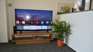 Un televisor de pantalla plana sobre un soporte de madera, con una pantalla de configuración de red, una estantería y una planta en maceta.