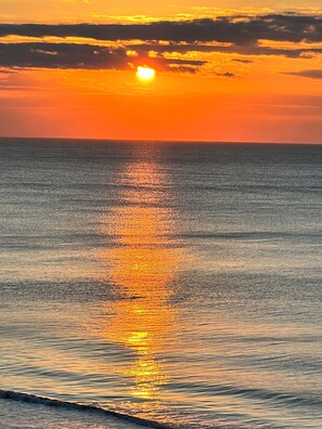 Enjoy breathtaking views of the serene sea and tranquil horizon from this picturesque location.