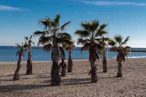 Ein Strand mit Palmen und blauem Himmel.