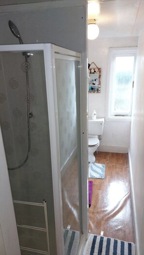 Shower - Cosy studio type flat close to city centre! (London)