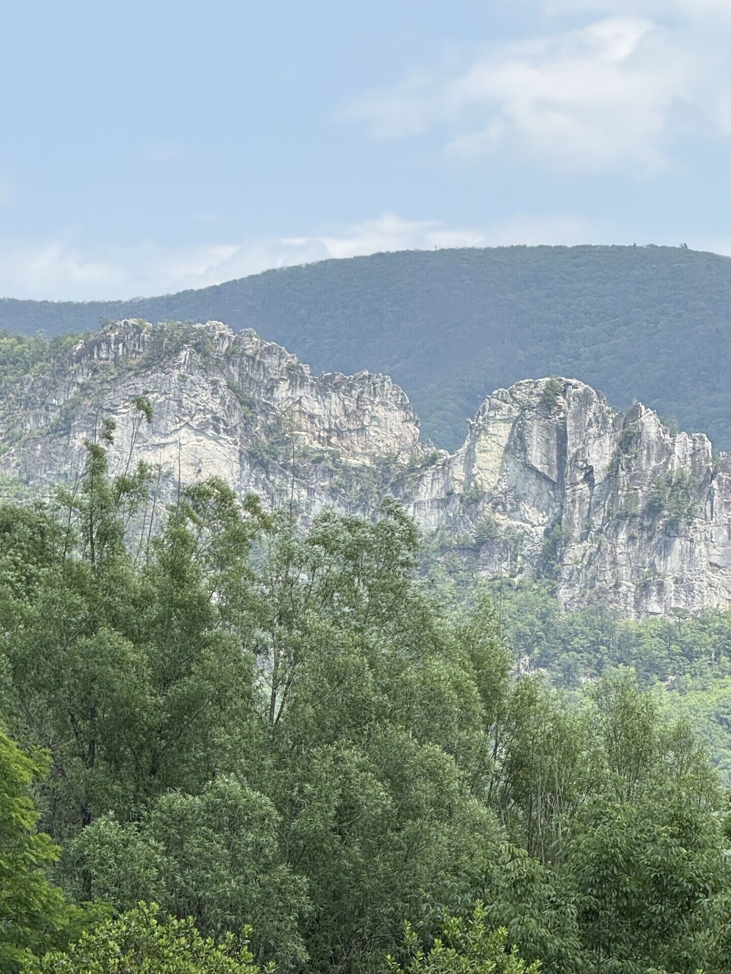 A mountainous landscape with rocky cliffs and dense green foliage in the foreground.