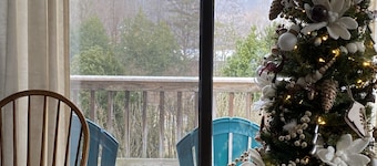 gaze at Seneca Rocks from living room sofa