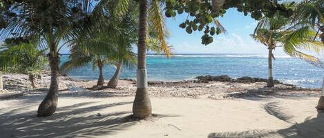 Ubicación a pie de playa y toallas de playa