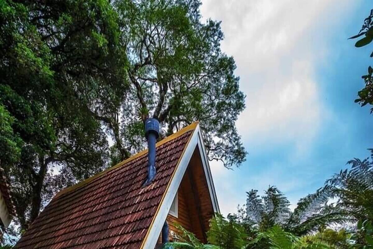 Nhà gỗ tiện nghi đơn giản | 1 phòng ngủ
