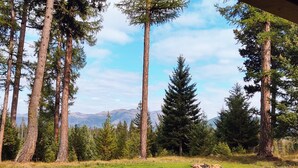 Uma floresta com árvores altas e uma cordilheira ao fundo.
