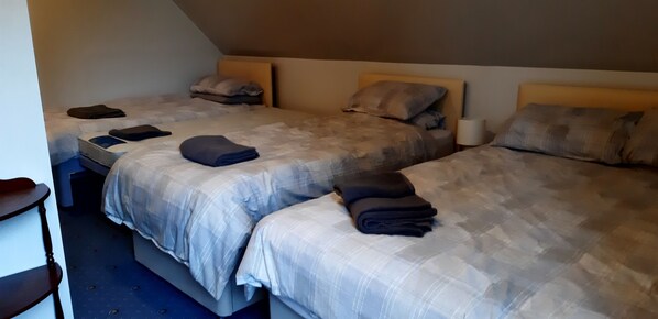 1 chambre, fer et planche à repasser, Wi-Fi, literie fournie
