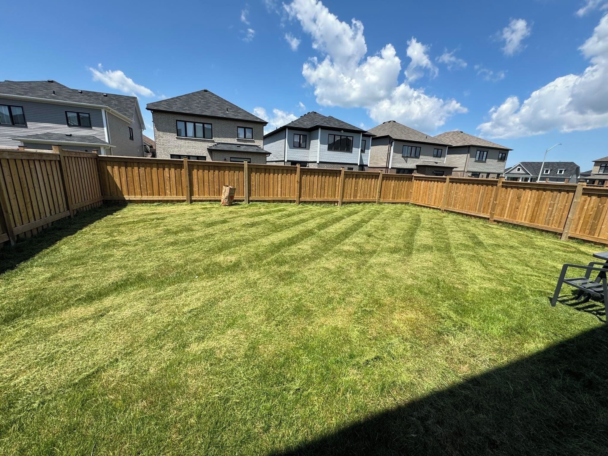 A residential backyard with a wooden fence, houses in the background, and a clear sky.