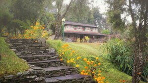 Una escalera de piedra que lleva a una casa rodeada de follaje y flores de naranja.